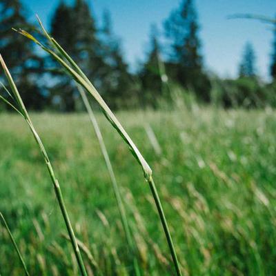 Góc Decor của mình